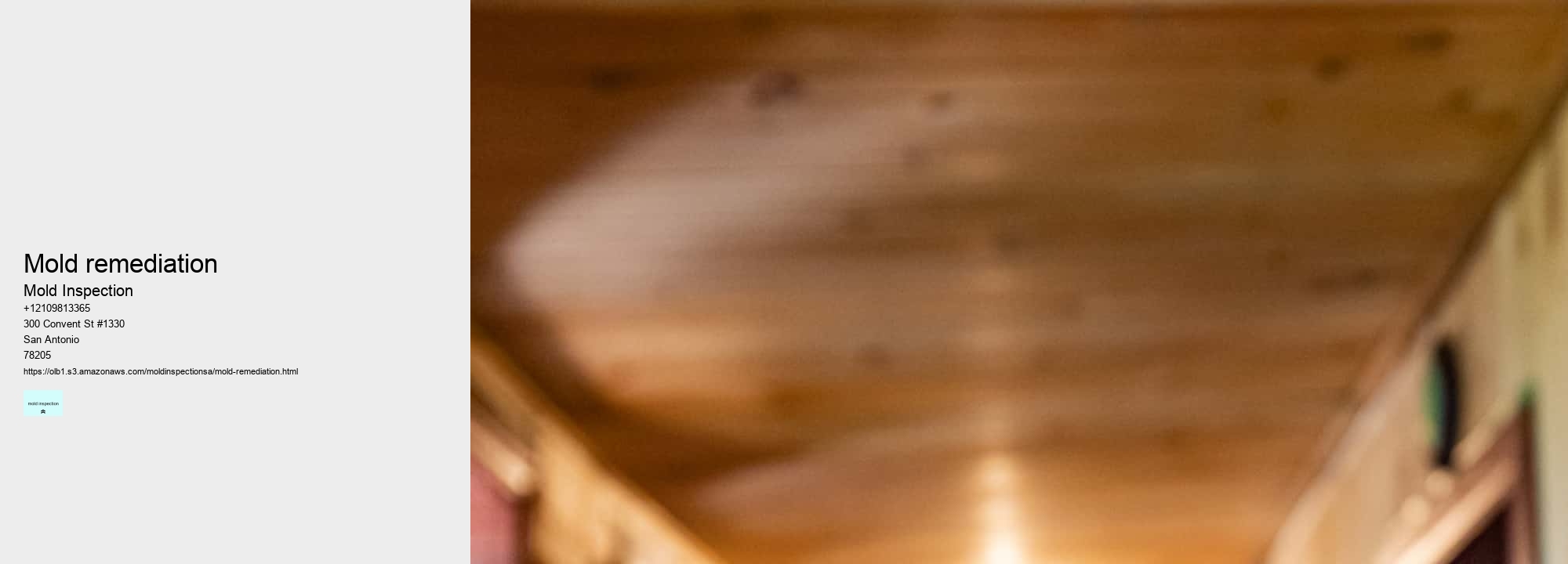 The Benefits of Professional Mold Inspection Services